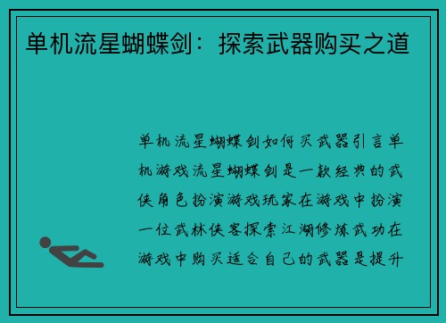 单机流星蝴蝶剑：探索武器购买之道